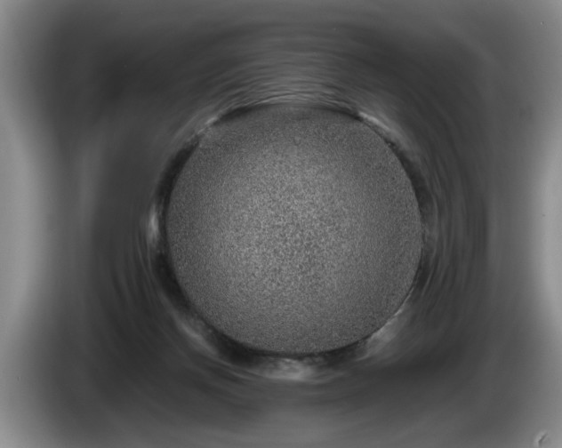 X0000086230166200704051205