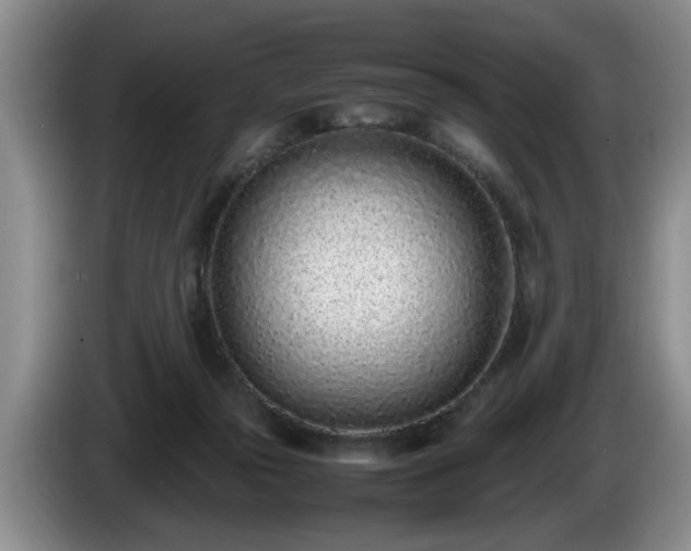 X0000086230169200704051205