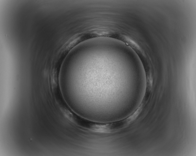 X0000086230170200704051205