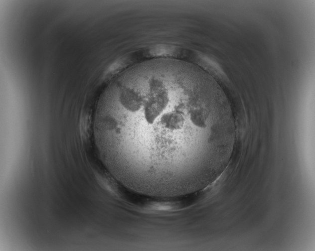 X0000086230171200704051205