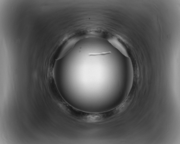 X0000086230172200704051205