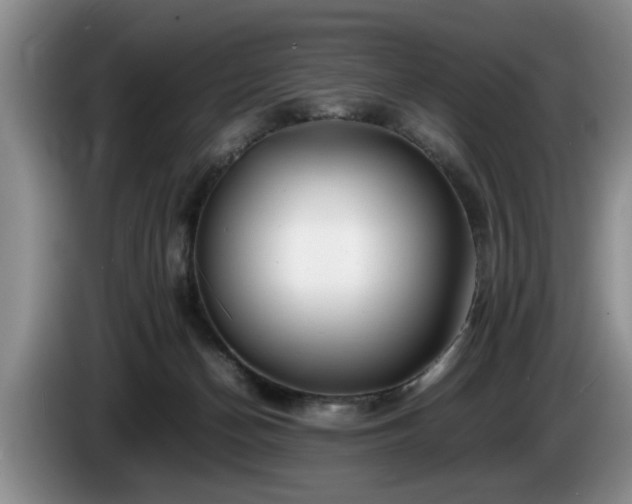 X0000086230174200704051205