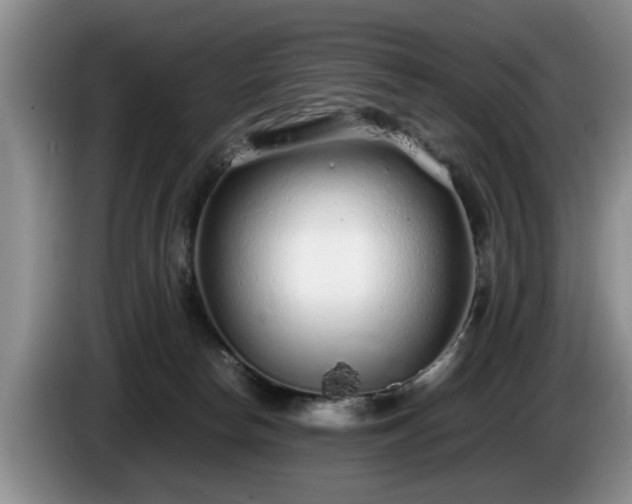 X0000086230178200704051205