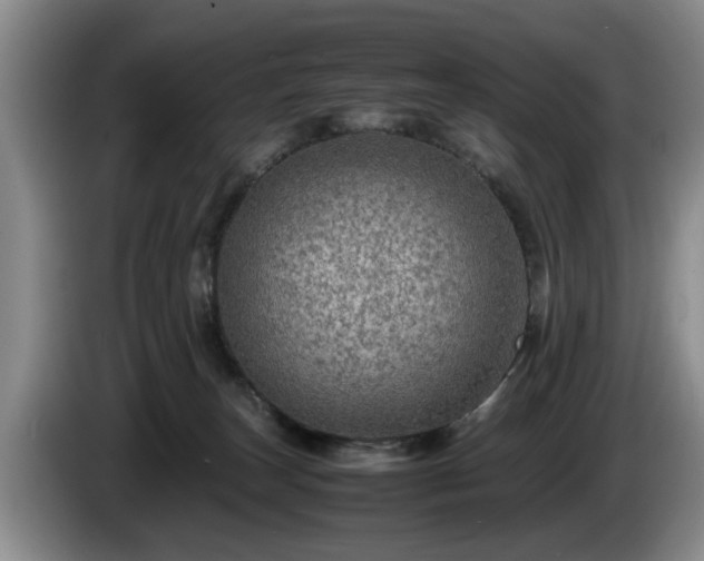 X0000086230179200704051205