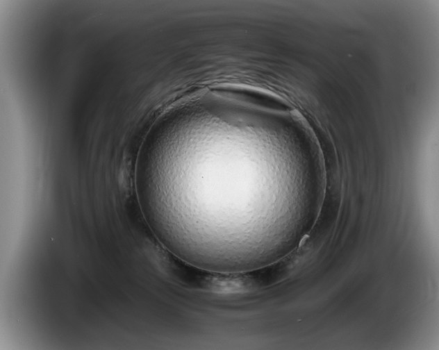 X0000086230181200704051205