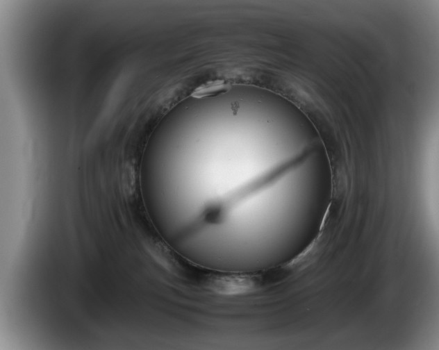 X0000086230183200704051205