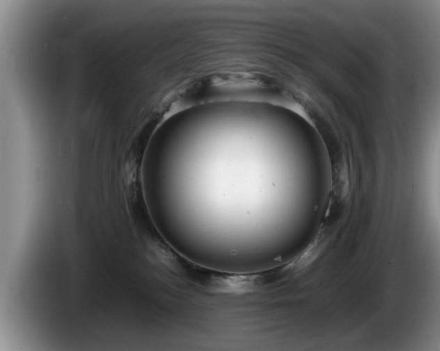 X0000086230184200704051205