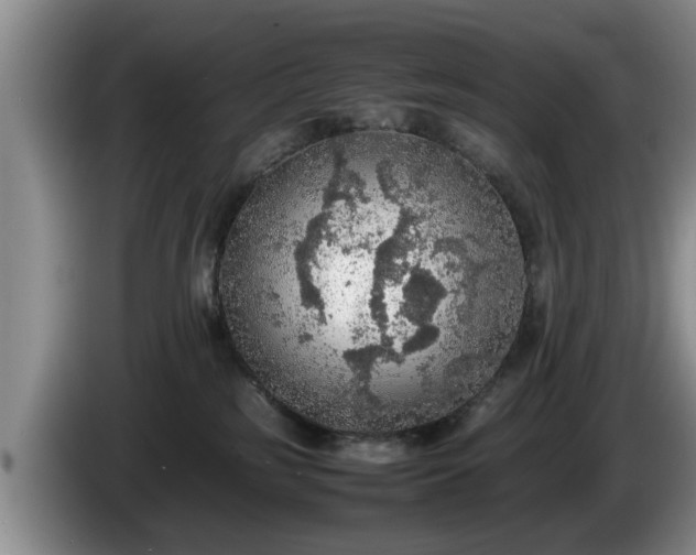 X0000086230185200704051205