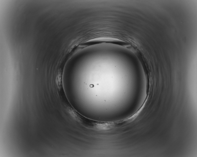 X0000086230190200704051205