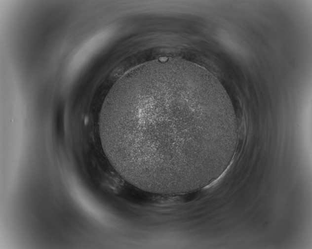 X0000086230191200704051205