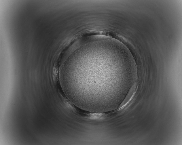 X0000086230192200704051205