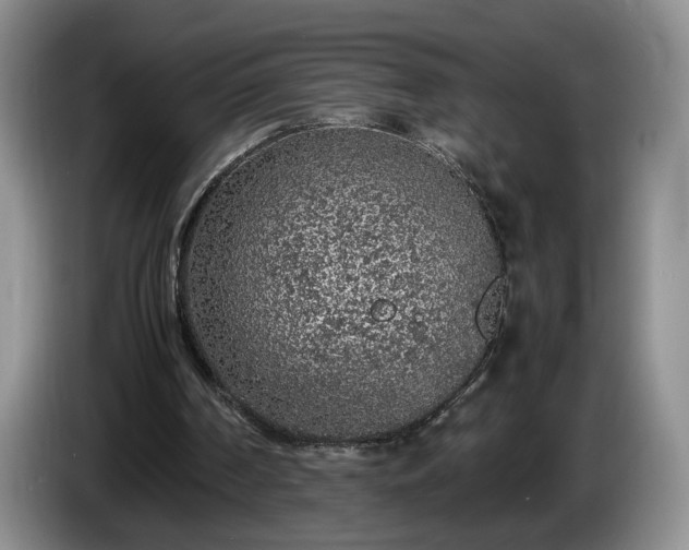 X0000086230194200704051204