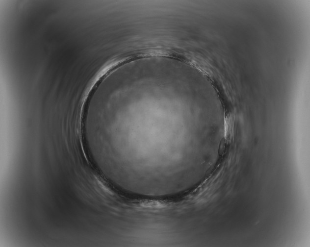 X0000086230195200704051204