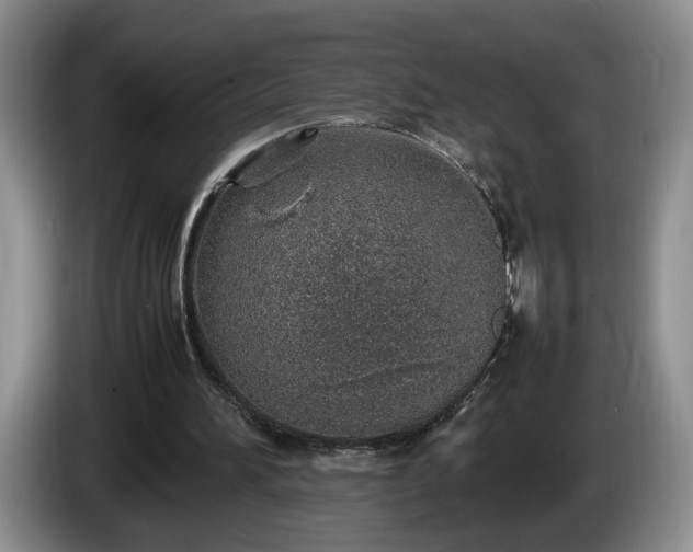 X0000086230196200704051204