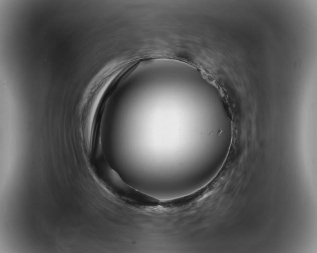 X0000086230197200704051204