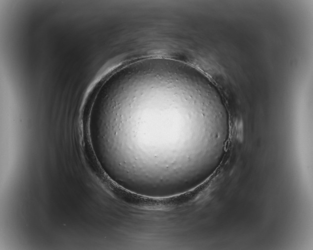 X0000086230198200704051204