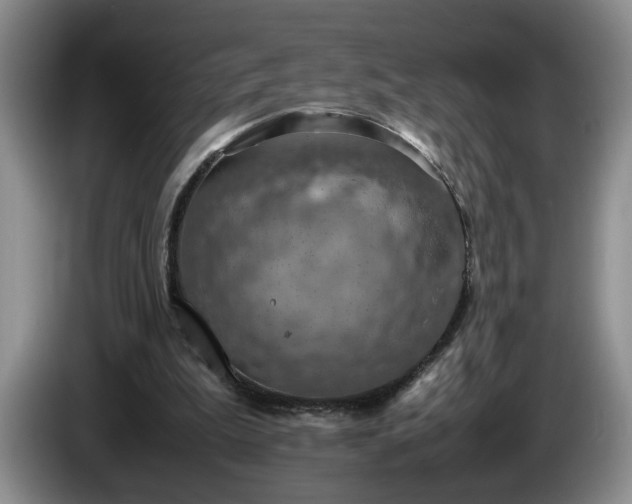 X0000086230199200704051204