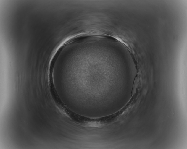 X0000086230200200704051204