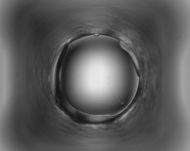 X0000086230201200704051204