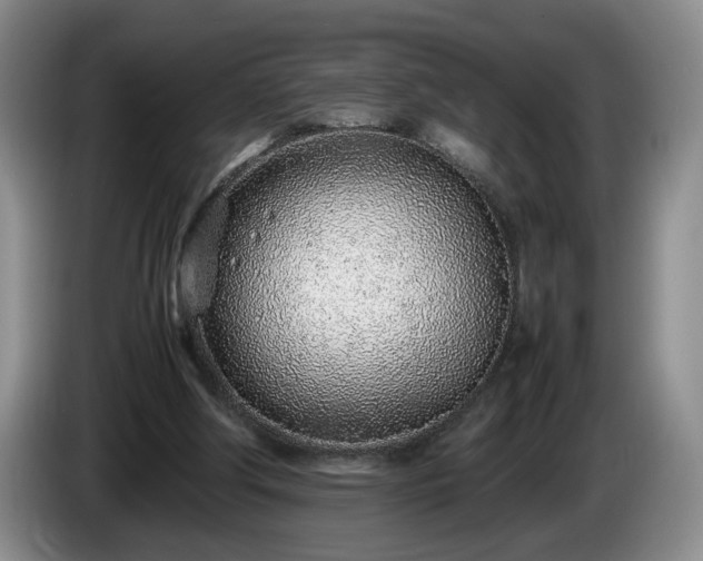 X0000086230202200704051204