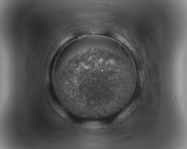 X0000086230203200704051204