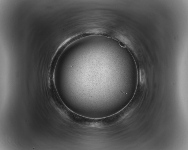 X0000086230204200704051204