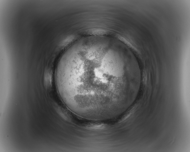 X0000086230206200704051204