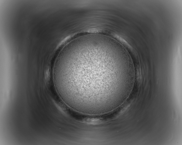 X0000086230208200704051204