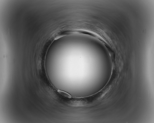 X0000086230209200704051204