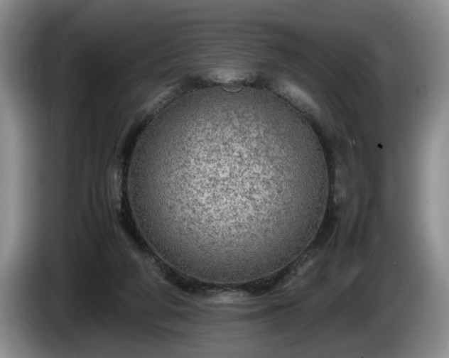 X0000086230210200704051204