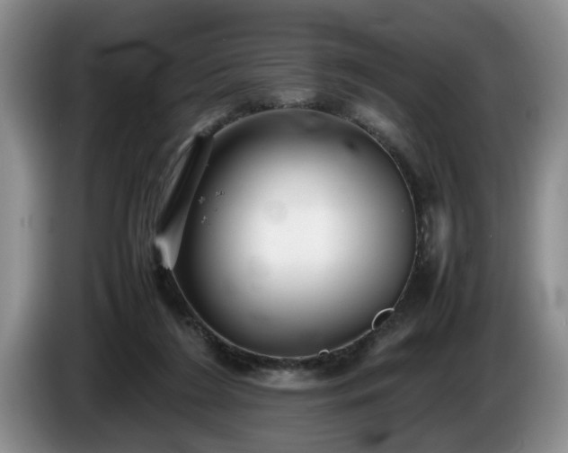 X0000086230212200704051204