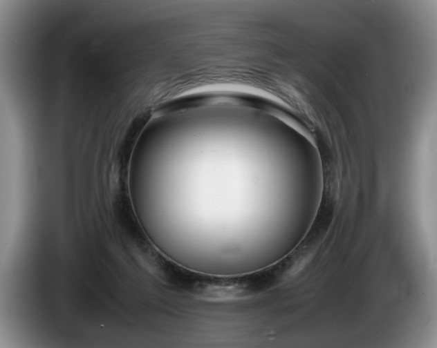 X0000086230213200704051204