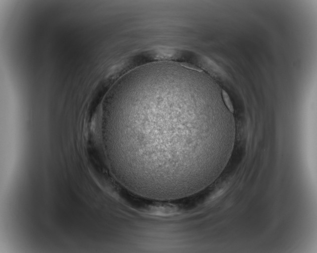 X0000086230215200704051204