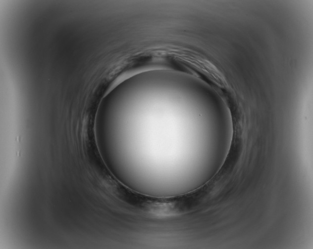 X0000086230217200704051204