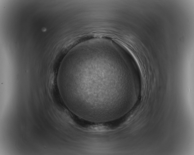 X0000086230219200704051204