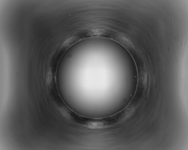 X0000086230220200704051204