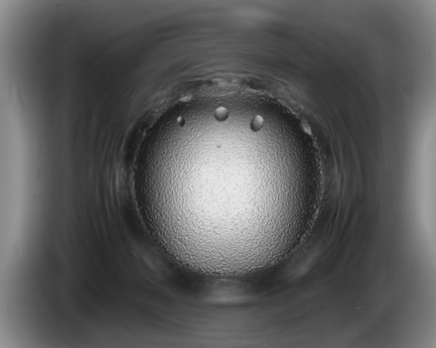 X0000086230222200704051204