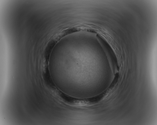 X0000086230223200704051204