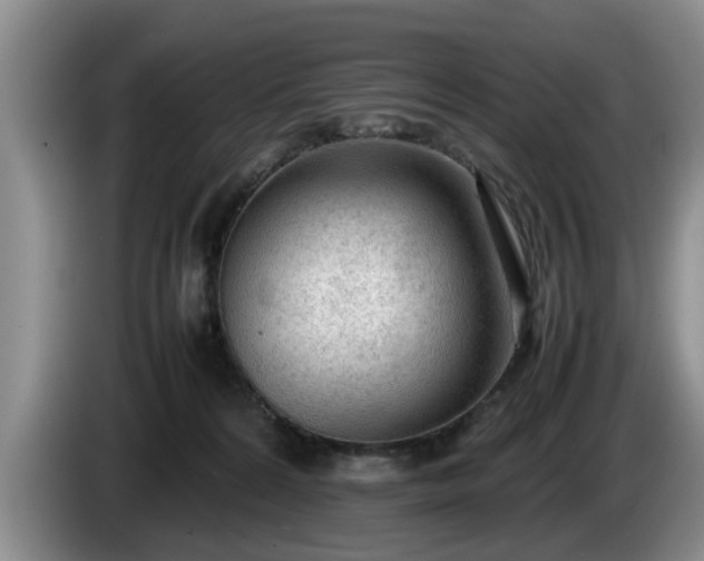 X0000086230224200704051204