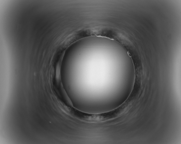 X0000086230225200704051204