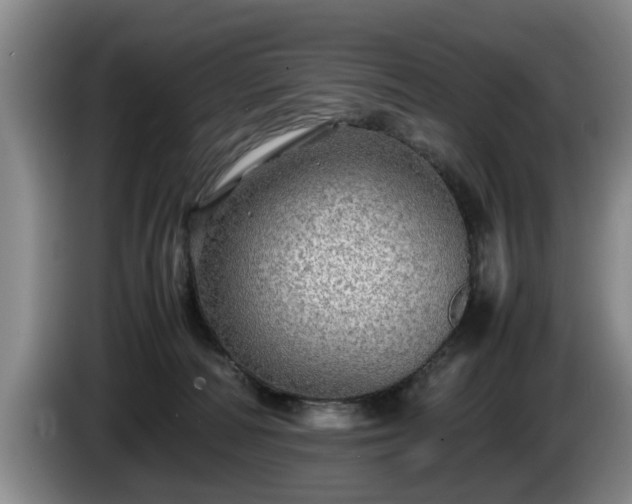 X0000086230226200704051204