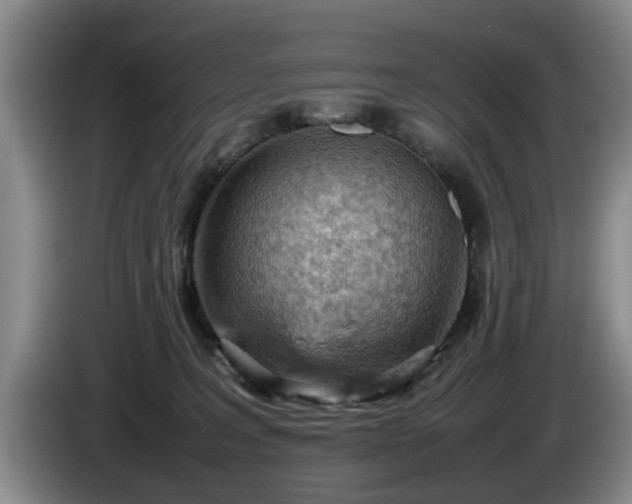 X0000086230227200704051204