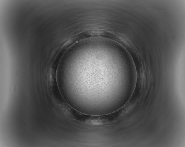 X0000086230228200704051204