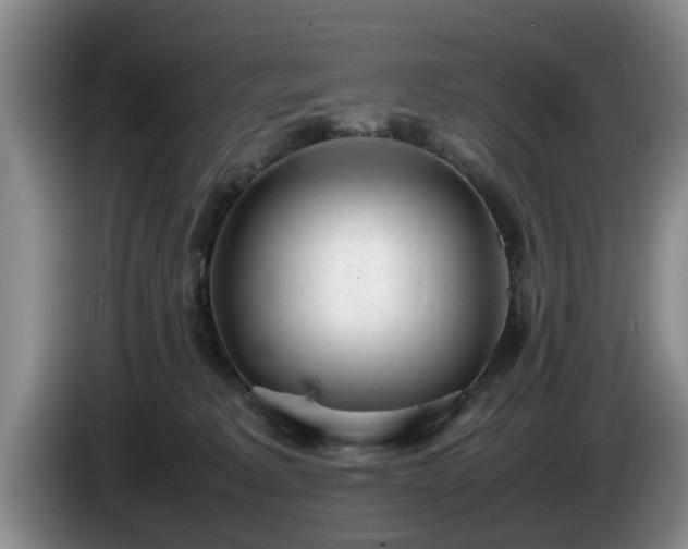 X0000086230229200704051204