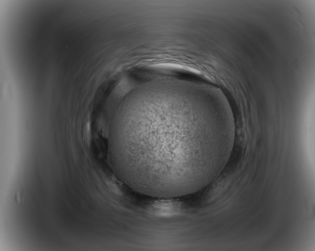 X0000086230231200704051204