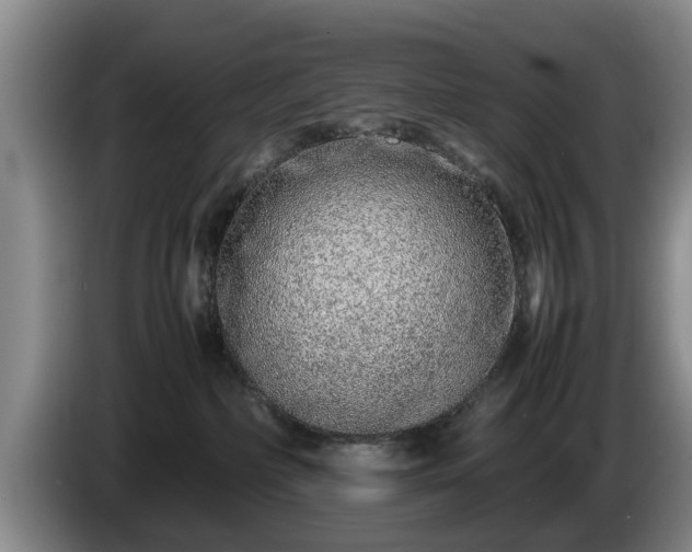 X0000086230236200704051204