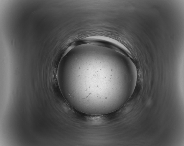 X0000086230237200704051204