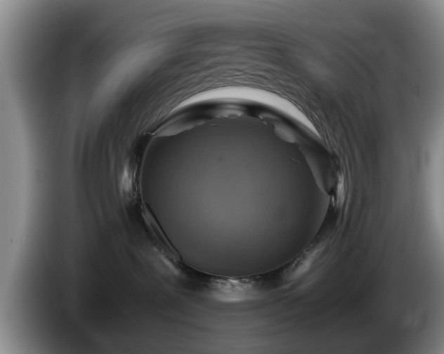 X0000086230239200704051204