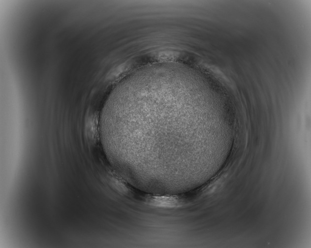 X0000086230240200704051204