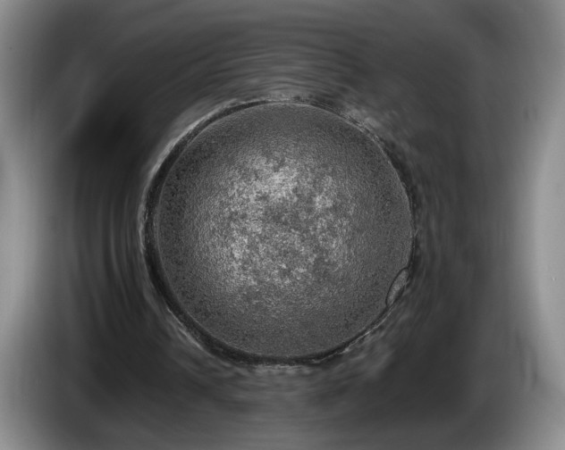 X0000086230242200704051203